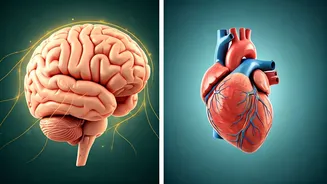 Young Adults Need Integrated Health Thinking Now