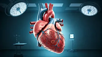 5 Habits Harming Your Heart: A Health Guide