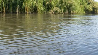 Delhi News Roundup: Recent Events and Updates