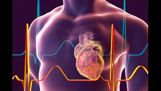 Explained: The Science Behind Early-Morning Heart Attacks In The Younger Generation