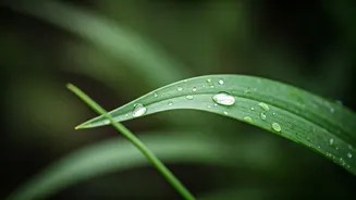 Delhi’s Nature Nerds Are Finally Having Their Moment