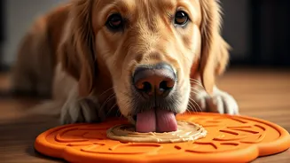 Viral Videos Showcase Dogs Using Texturized Pumpkin Licking Mats