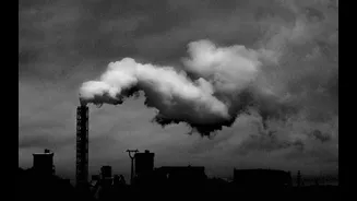 Study Links Surface Ozone to Heatwave Deaths in India