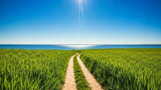 Forgive to Find Inner Peace: Steps to Take