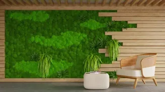 Transform your space with stunning moss corners