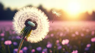 10 Radiant Baby Girl Names Evoking Joy and Happiness