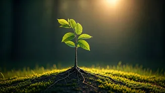 Cultivating Resilience: Expert Parenting Tips for Raising Mentally Strong Children