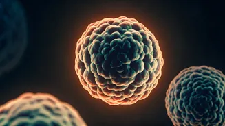 Related Stories banner