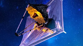 Webb's Little Red Dot Study: Extreme Distance and Hidden Galaxies Matter More than a Simple Red Point