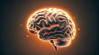 Your Brain May Need More Vitamin C