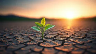 Cultivating Unwavering Hope: Your Guide to Navigating Life's Challenges with Resilience