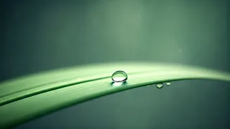 Dermatologists Reveal Monsoon Skincare's Biggest Secret