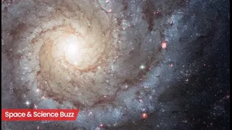 Science & Space Roundup: Top News of the Day (Dec 10)