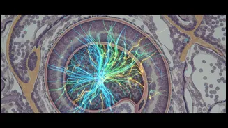 Why Gene Therapy For Genetic Hearing Loss matters for the future of inner-ear gene delivery