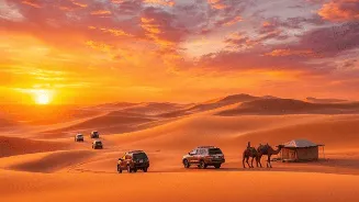Gujarat to get Asia’s first desert-themed night safari: 2,700 animals, 83 species, and ₹542 crore zoo gets nod
