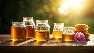 Six Sweet Havens: Discovering Worlds of Abundant Natural Honey