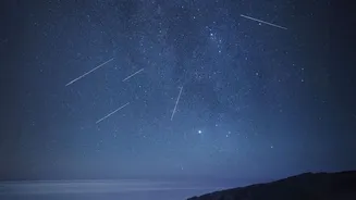 The Perseids Reward Travellers Who Choose Open, Dark and Cloud-Free Sites