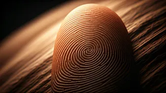 Unlocking the Mystery: Why Our Fingerprints Evolved Beyond Just Grip