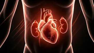 India Heatwave Alert: Doctors Warn of Severe Health Risks to Heart, Kidneys, Skin, and Reproductive Health