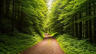 Solo Adventures: Top 5 Destinations in India