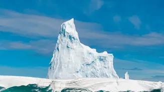 Why A New Antarctica Study And The Temporary Antarctic Ice Gain Are Both In Focus