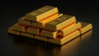 Top Stocks Indian Investors are Searching For