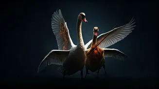 Swans or Orchestra? Your First Glance Reveals Your Relationship Dynamics