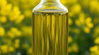Why Plant Based Cold Pressed Oils Are Healthier For Hearts Than Saturated Ghee