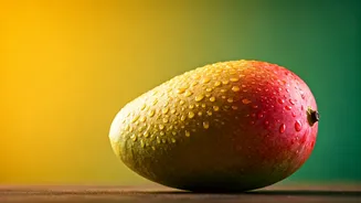 The Best Mango Eating Contest Launches In Delhi Today