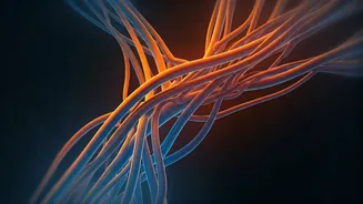 Empowering Wellness: Navigating Health Conditions and Lifestyle Choices