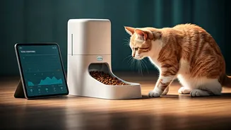 Gen Z Treats Cat Care As Advanced Lifestyle Optimization Metric