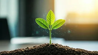 Graduates Enroll In Online Carbon Footprint Tracking Courses For Green Work