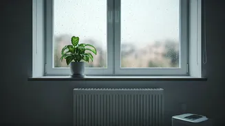 Small Flats Can Beat Musty Monsoon Moods