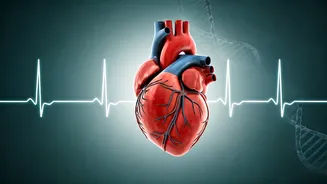 Cholesterol Checks: Why Younger Indians Should Start Early, Not Later