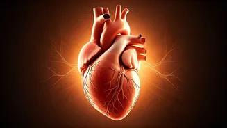 The Mother's Heart: A Child's First and Foremost Schoolroom