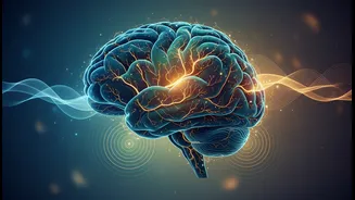 Movement, Social Connection And Hearing Care Support A Broader Brain-Health Plan