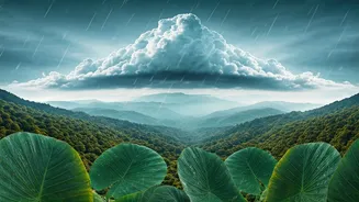Beat the Heat: Early Monsoon Havens in India for a Refreshing Escape