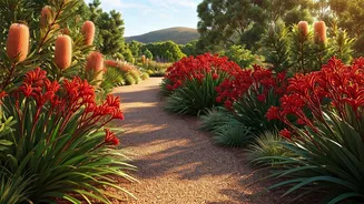Discover Western Australia's Most Enchanting Botanical Havens: A Guide