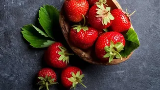 One Cyclone Shows the Financial Risk Behind High-Tech Strawberry Farming