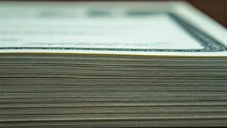 Shyam Dhani IPO: Key Facts and Figures