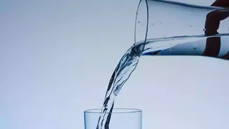 Eating Comfortably After Festive Meals — Choosing Water Over Sugary Drinks Afterwards