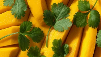5 Zesty Combinations: Elevate Your Meals with Mango & Coriander