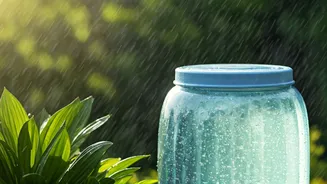 Free Rainwater Is Tempting, But Watch The Wind