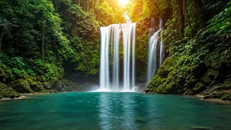 Kerala's Top Waterfalls: Your Ultimate Summer Escape Guide