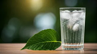 Summer Heat Hack Backfire: Why Iced Drinks Might Actually Make You Feel Hotter