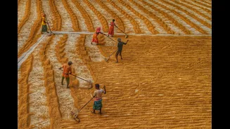 El Niño Poses Whole-Economy Risk for India Amid Monsoon Deficit