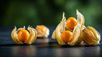 Cape Gooseberry: Unlocking Nature's Anti-Inflammatory Secrets for Better Health