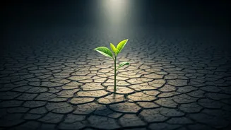 Navigating Crisis: 3 Essential Ways Parents Can Support Children Through Academic Setbacks