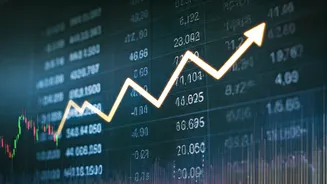 Navigating the Buzz: IPOs and Market Dynamics in India
