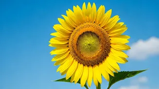 Finding Freedom After a Breakup: A Guide to Self-Love